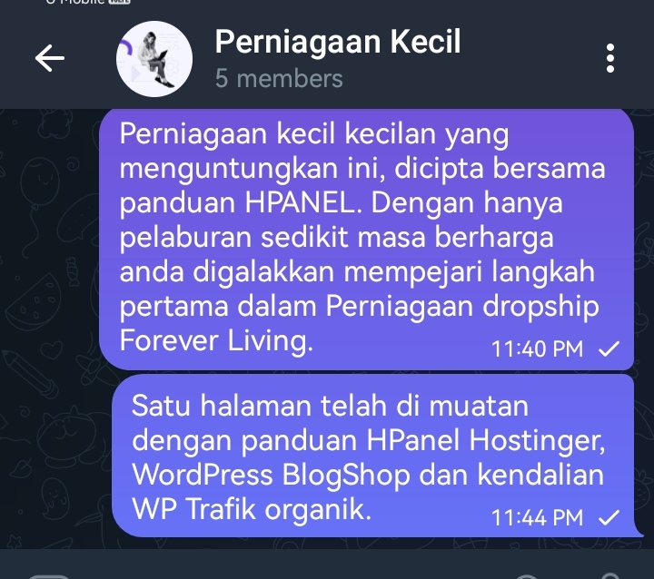 perniagaan bisnes dropshipping